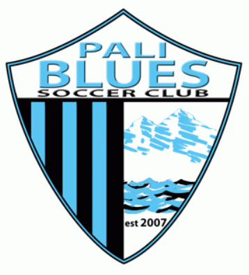 pali blues 2011-pres primary Logo t shirt iron on transfers